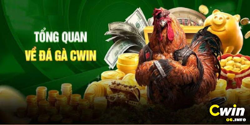 Đá gà Cwin - Sân chơi quốc tế đẳng cấp hàng đầu